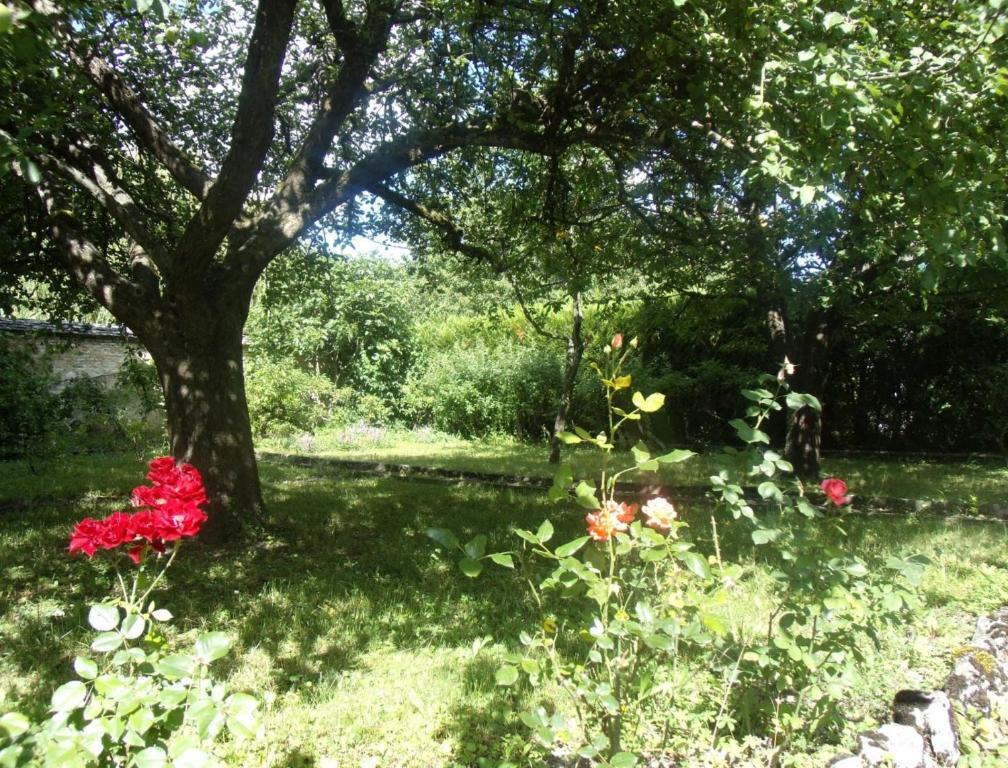 Le Grand Jardin Bed and Breakfast Beaune  Eksteriør billede