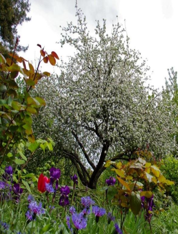 Le Grand Jardin Bed and Breakfast Beaune  Eksteriør billede